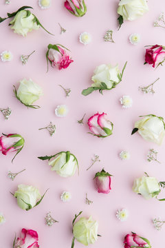 Rose background