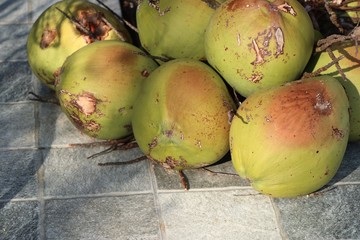 coconut at street food
