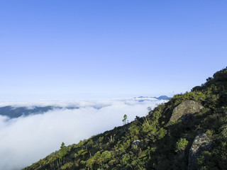 Top of the mountain Anhangava (Brazil)