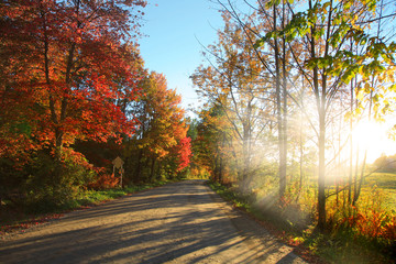 Rural road in Vermont against sun set