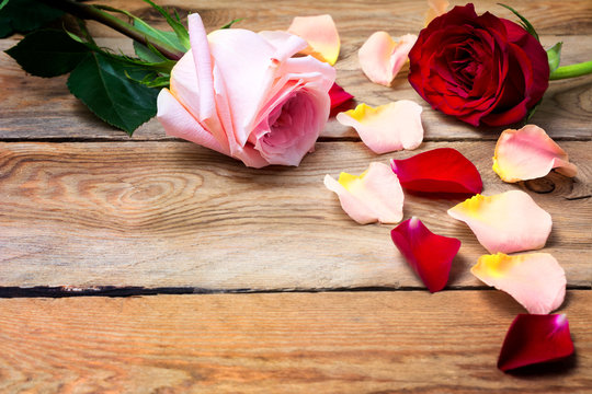 Valentine's Day background with pink and red roses, copy space.
