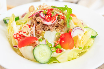 Closed up of Salad with fresh vegetables and tuna, Top view with Free space for your text.