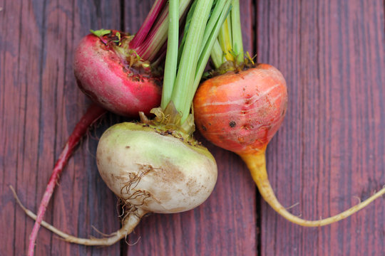 Colorful organic beets