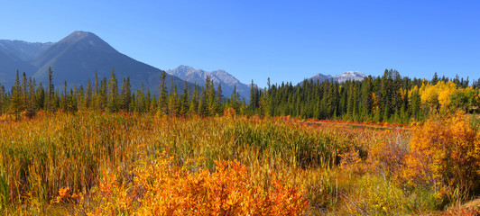 Autumn landscape near Pyramid lake in Jasper national park