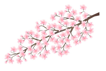 桜　春　花　背景