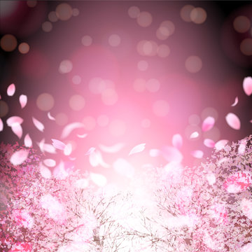 桜　春　花　背景