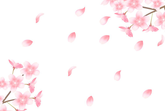 桜　春　花　背景