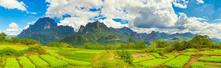 Foto op Canvas  Beautiful rural landscape.Vang Vieng, Laos. Panorama © Olga Khoroshunova