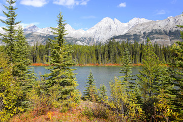 Fototapeta na wymiar Scenic pond landscape in Alberta Canada