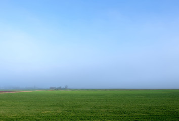 Fototapeta na wymiar Wide view of a misty green farming field with a barn in the distance and a blue sky.