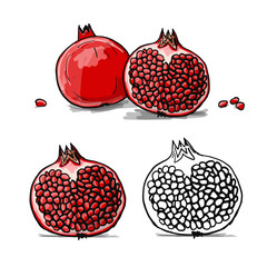 Pomegranate, sketch for your design