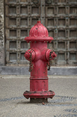 Fototapeta na wymiar Bright Red Fire Hydrant