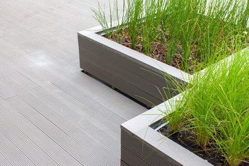 Outdoor planter with green planting