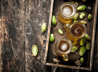 Fresh beer in glasses with green hops on an old tray.