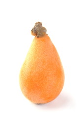 Whole single loquat isolated on white background   