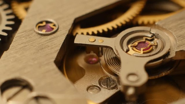 Watch Mechanism. Macro Shoot.