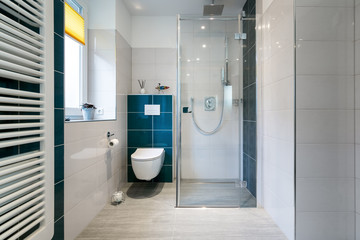 Luxury Bathroom with walk in Glass Shower - Horizontal shot of a luxury bathroom with large, walk-in shower.