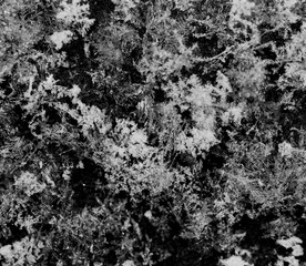 Obraz premium snowflakes as background