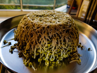 Sprouted Moong Dal Mountain on a Plate - 187572821