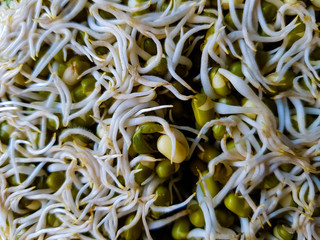 Sprouted Moong Dal Mountain on a Plate - 187572848
