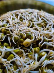 Sprouted Moong Dal Mountain on a Plate - 187572866