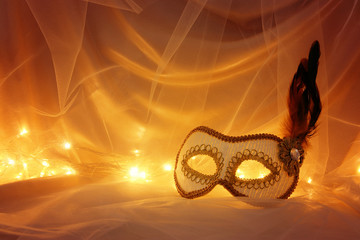 Image of elegant venetian, mask over tulle background.