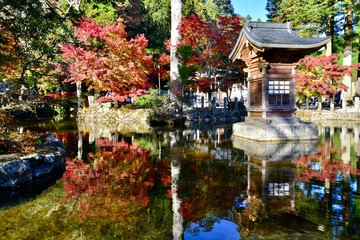 日本の庭園と鹿と紅葉