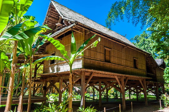 Maison en bambou.