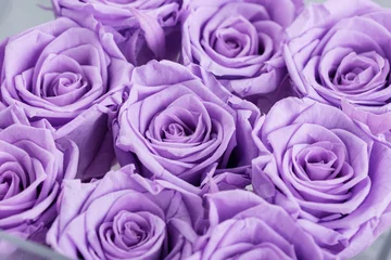 Keuken spatwand met foto buds of lilac roses close-up © yakovlevadaria