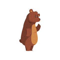 Friendly smiling bear waving his paw. Funny grizzly with brown fur, short tail and small ears. Cartoon wild animal. Flat vector for network sticker, card or kids book