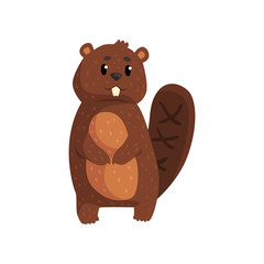 Cute brown beaver standing isolated on white. Cartoon forest rodent with big teeth, shaped tail, little ears and shiny eyes. Wild animal concept. Flat vector design