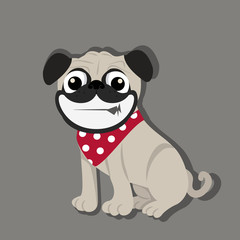 pug smile face dog