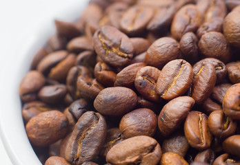 roasted coffee beans on white background space modern style.