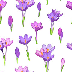 Obraz na płótnie Canvas Crocus saffron purple violet spring flowers seamless pattern. Simple small flowers clean drawing on white background. March april blooming forest field. Vector design illustration.
