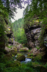 Fototapeta na wymiar National park Bohemian Switzerland, Czech republic