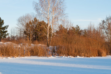 Winter nature, fields and forest in the snow. Calendar for design, wallpaper.