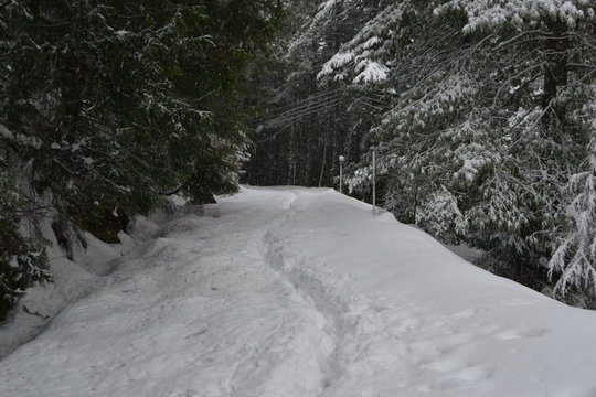 Shogran route to siri paye winters