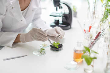 Testing plants in the laboratory