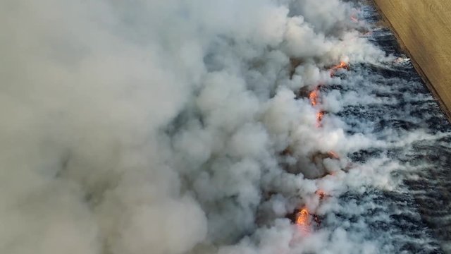 Smoke coming from burning stubble in a field. Aerial footage from above. 4K, UHD