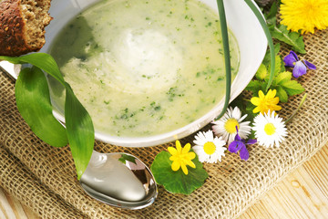 Soup with spring herbs, Suppe mit Frühlingskräutern, Wildkräutern, Bärlauch, Löwenzahn, Gänseblümchen, Textraum, copy space