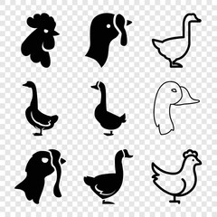 Obraz premium Set of 9 poultry filled and outline icons