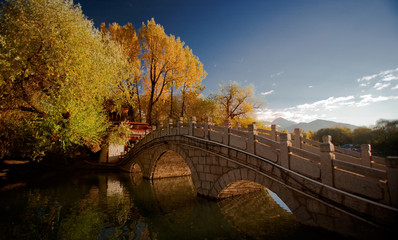 the sight of Lhasa, Tibet, China