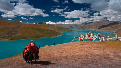 the scenery of YamdrokTso lake in Tibet, China