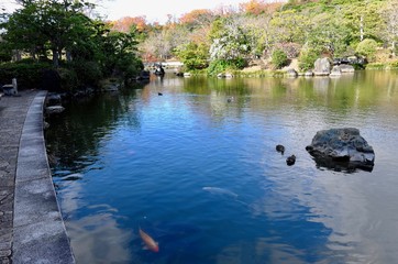 日本の紅葉と夜景