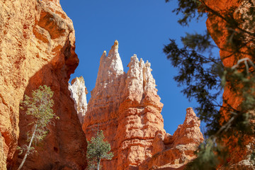 The National Park Bryce Canyon in Utah