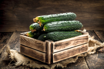 Fresh cucumbers in an old box.