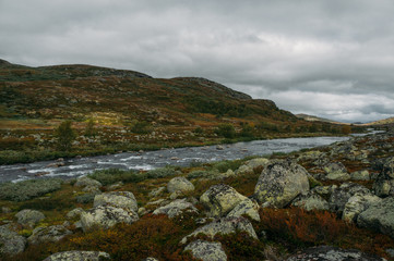 river stream going through stones and hills on field, Norway, Hardangervidda National Park