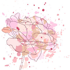Obraz na płótnie Canvas vector drawing rose flower