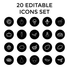 Vegetarian icons. set of 20 editable outline vegetarian icons