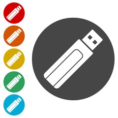 Usb flash memory icon 